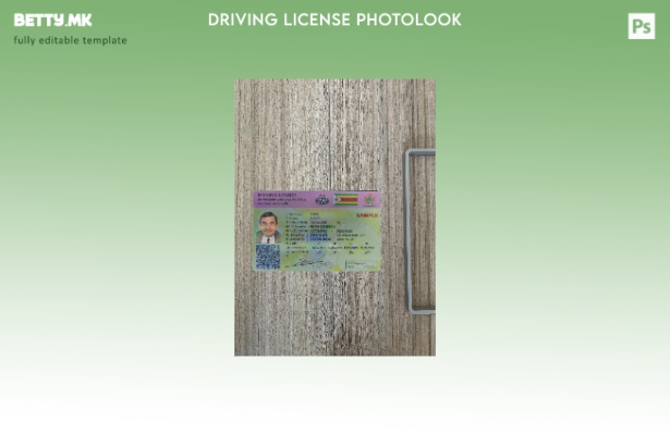 Модерен стил на Зимбабве возачка дозвола преден шаблон